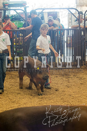 MAYES_COUNTY_FAIR_SWINE_©KTROYER-9533