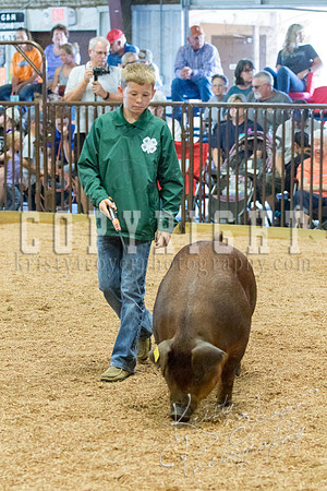 MAYES_COUNTY_FAIR_SWINE_©KTROYER-9534
