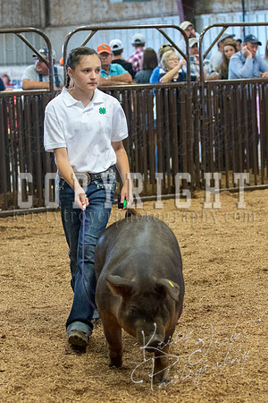 MAYES_COUNTY_FAIR_SWINE_©KTROYER-9535