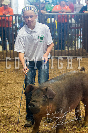MAYES_COUNTY_FAIR_SWINE_©KTROYER-9536