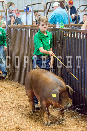 MAYES_COUNTY_FAIR_SWINE_©KTROYER-9537