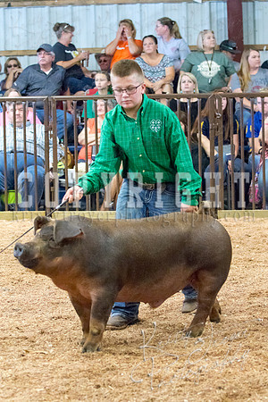 MAYES_COUNTY_FAIR_SWINE_©KTROYER-9538