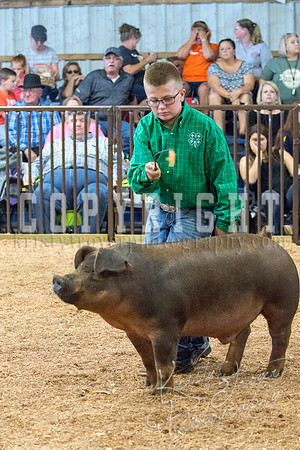 MAYES_COUNTY_FAIR_SWINE_©KTROYER-9539