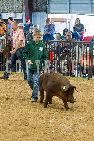 MAYES_COUNTY_FAIR_SWINE_©KTROYER-9540
