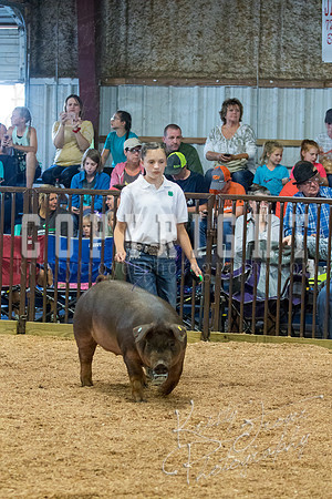 MAYES_COUNTY_FAIR_SWINE_©KTROYER-9541