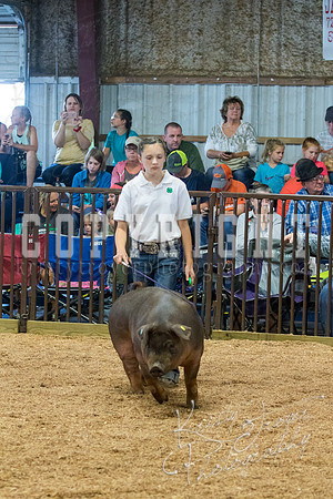 MAYES_COUNTY_FAIR_SWINE_©KTROYER-9542