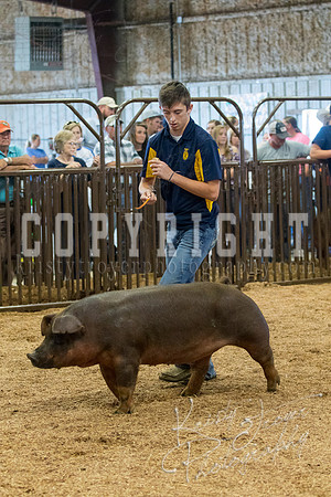 MAYES_COUNTY_FAIR_SWINE_©KTROYER-9543