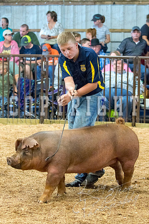 MAYES_COUNTY_FAIR_SWINE_©KTROYER-9545