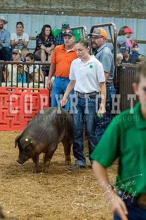 MAYES_COUNTY_FAIR_SWINE_©KTROYER-9546