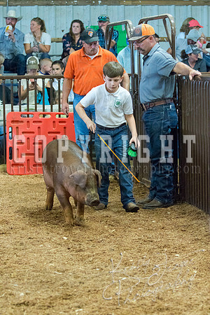 MAYES_COUNTY_FAIR_SWINE_©KTROYER-9547