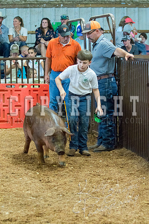 MAYES_COUNTY_FAIR_SWINE_©KTROYER-9548