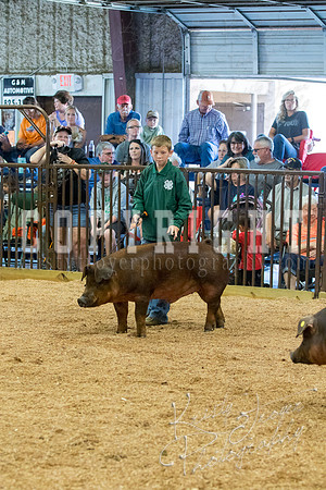 MAYES_COUNTY_FAIR_SWINE_©KTROYER-9549