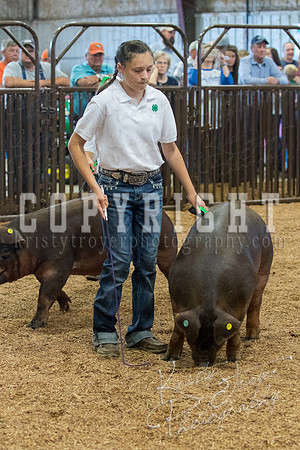 MAYES_COUNTY_FAIR_SWINE_©KTROYER-9550