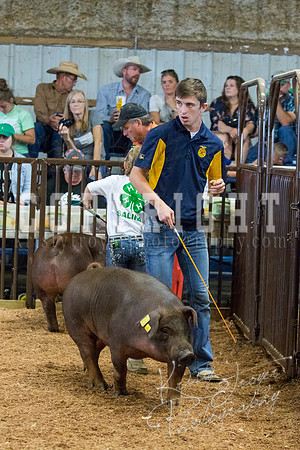 MAYES_COUNTY_FAIR_SWINE_©KTROYER-9551