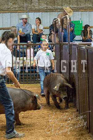 MAYES_COUNTY_FAIR_SWINE_©KTROYER-9552