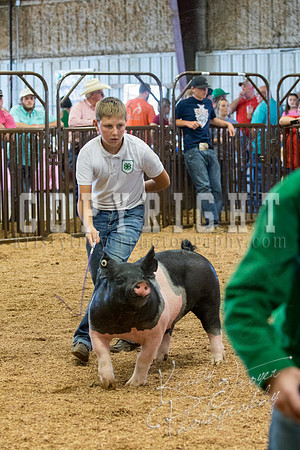 MAYES_COUNTY_FAIR_SWINE_©KTROYER-9554