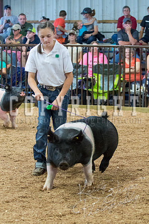MAYES_COUNTY_FAIR_SWINE_©KTROYER-9555