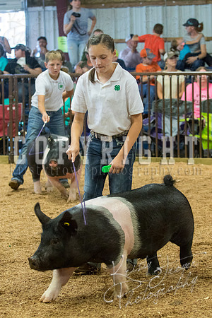 MAYES_COUNTY_FAIR_SWINE_©KTROYER-9556