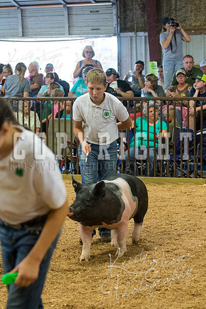 MAYES_COUNTY_FAIR_SWINE_©KTROYER-9557