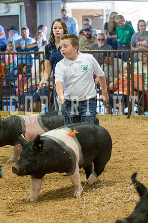 MAYES_COUNTY_FAIR_SWINE_©KTROYER-9558