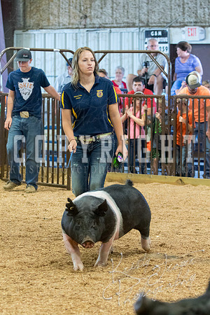 MAYES_COUNTY_FAIR_SWINE_©KTROYER-9559