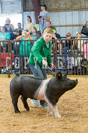 MAYES_COUNTY_FAIR_SWINE_©KTROYER-9563