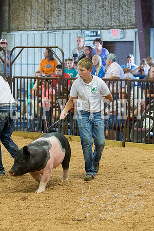 MAYES_COUNTY_FAIR_SWINE_©KTROYER-9564