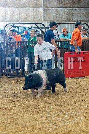 MAYES_COUNTY_FAIR_SWINE_©KTROYER-9565