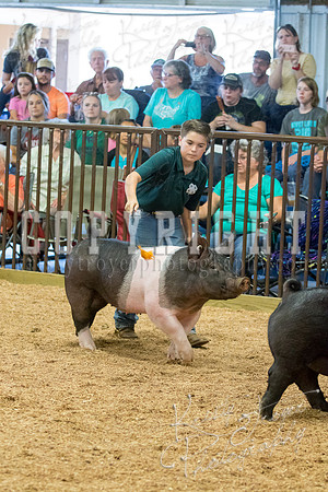 MAYES_COUNTY_FAIR_SWINE_©KTROYER-9566