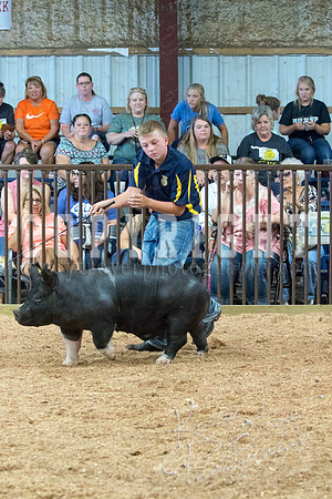 MAYES_COUNTY_FAIR_SWINE_©KTROYER-9568
