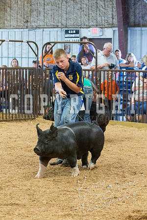 MAYES_COUNTY_FAIR_SWINE_©KTROYER-9569