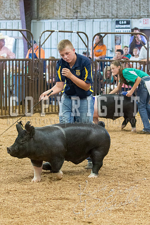 MAYES_COUNTY_FAIR_SWINE_©KTROYER-9570