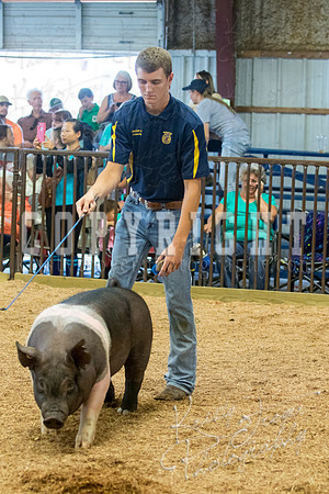 MAYES_COUNTY_FAIR_SWINE_©KTROYER-9571