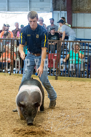 MAYES_COUNTY_FAIR_SWINE_©KTROYER-9572
