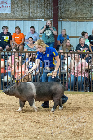 MAYES_COUNTY_FAIR_SWINE_©KTROYER-9573