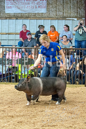 MAYES_COUNTY_FAIR_SWINE_©KTROYER-9574