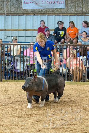 MAYES_COUNTY_FAIR_SWINE_©KTROYER-9575