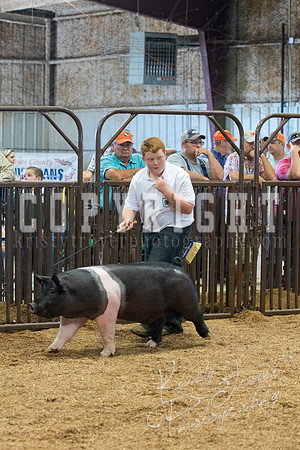 MAYES_COUNTY_FAIR_SWINE_©KTROYER-9576