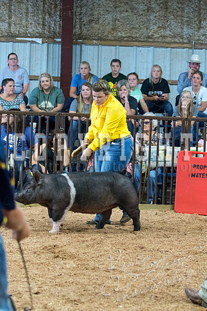 MAYES_COUNTY_FAIR_SWINE_©KTROYER-9579
