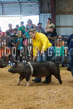 MAYES_COUNTY_FAIR_SWINE_©KTROYER-9580