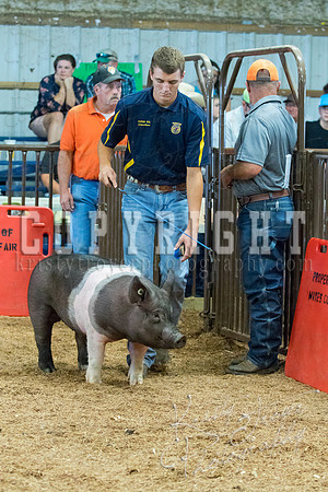 MAYES_COUNTY_FAIR_SWINE_©KTROYER-9581