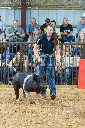 MAYES_COUNTY_FAIR_SWINE_©KTROYER-9582