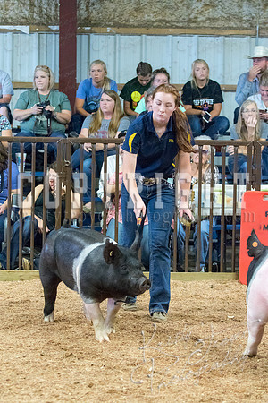 MAYES_COUNTY_FAIR_SWINE_©KTROYER-9583