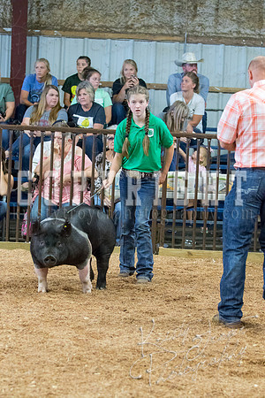 MAYES_COUNTY_FAIR_SWINE_©KTROYER-9584