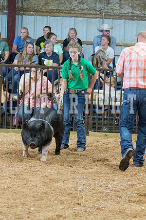 MAYES_COUNTY_FAIR_SWINE_©KTROYER-9585