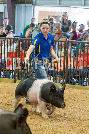 MAYES_COUNTY_FAIR_SWINE_©KTROYER-9587