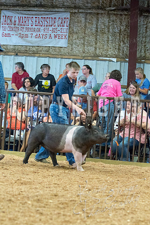 MAYES_COUNTY_FAIR_SWINE_©KTROYER-9588