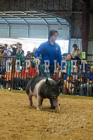 MAYES_COUNTY_FAIR_SWINE_©KTROYER-9589