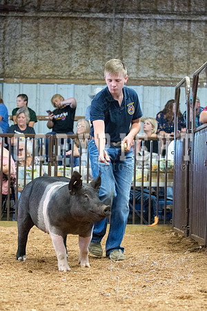 MAYES_COUNTY_FAIR_SWINE_©KTROYER-9590