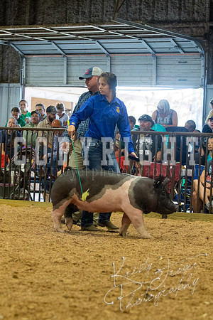 MAYES_COUNTY_FAIR_SWINE_©KTROYER-9592
